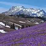 Koca Pastirica - Velika Planina Stahovica