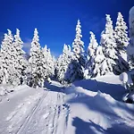 Koca Pastirica - Velika Planina *