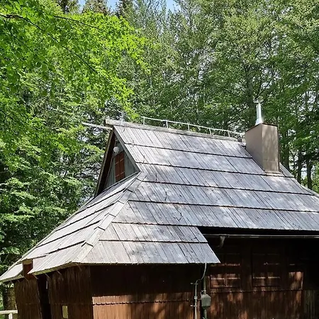 Koca Pastirica - Velika Planina Alpstuga Stahovica