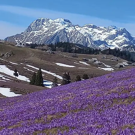 Koca Pastirica - Velika Planina Stahovica
