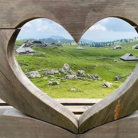 Koca Pastirica - Velika Planina