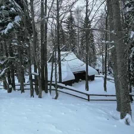 Koca Pastirica - Velika Planina