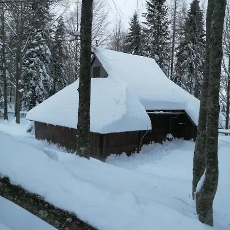Koca Pastirica - Velika Planina 샬레 Stahovica