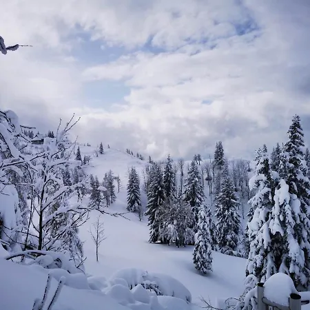 Шале Koca Pastirica - Velika Planina