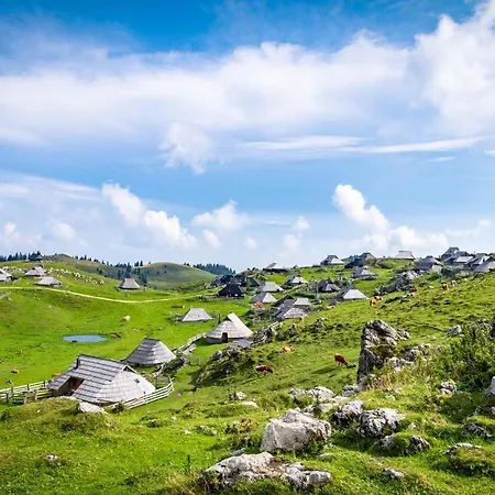 Σαλέ Koca Pastirica - Velika Planina *