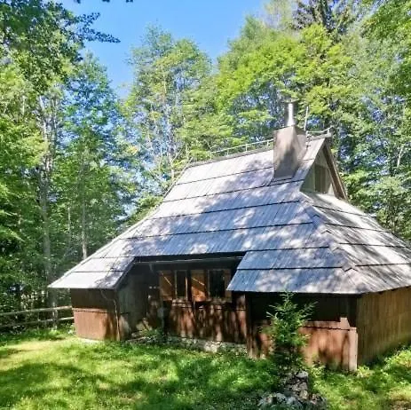 Koca Pastirica - Velika Planina Stahovica