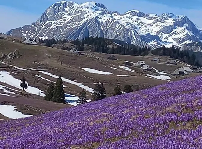 Koca Pastirica - Velika Planina Stahovica