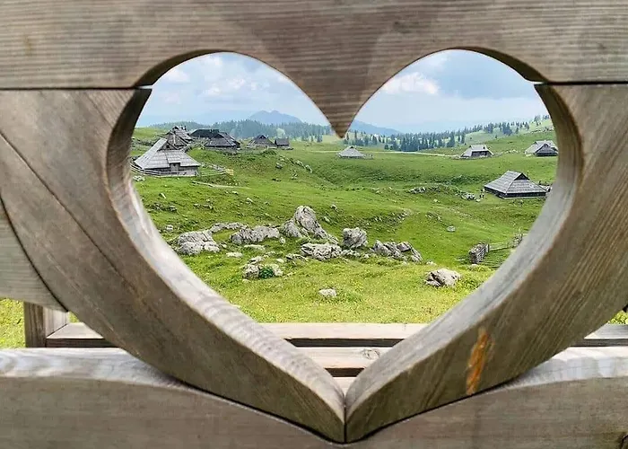 Koca Pastirica - Velika Planina