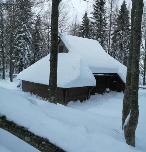 Koca Pastirica - Velika Planina Chalet Stahovica
