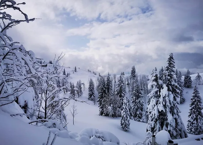 Σαλέ Koca Pastirica - Velika Planina