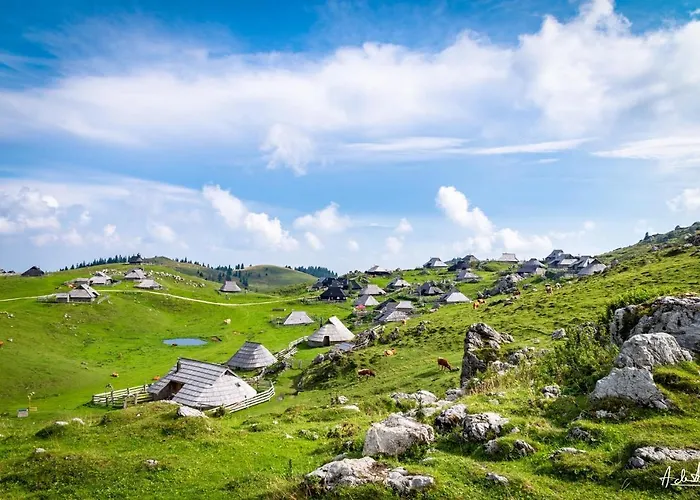 Σαλέ Koca Pastirica - Velika Planina *